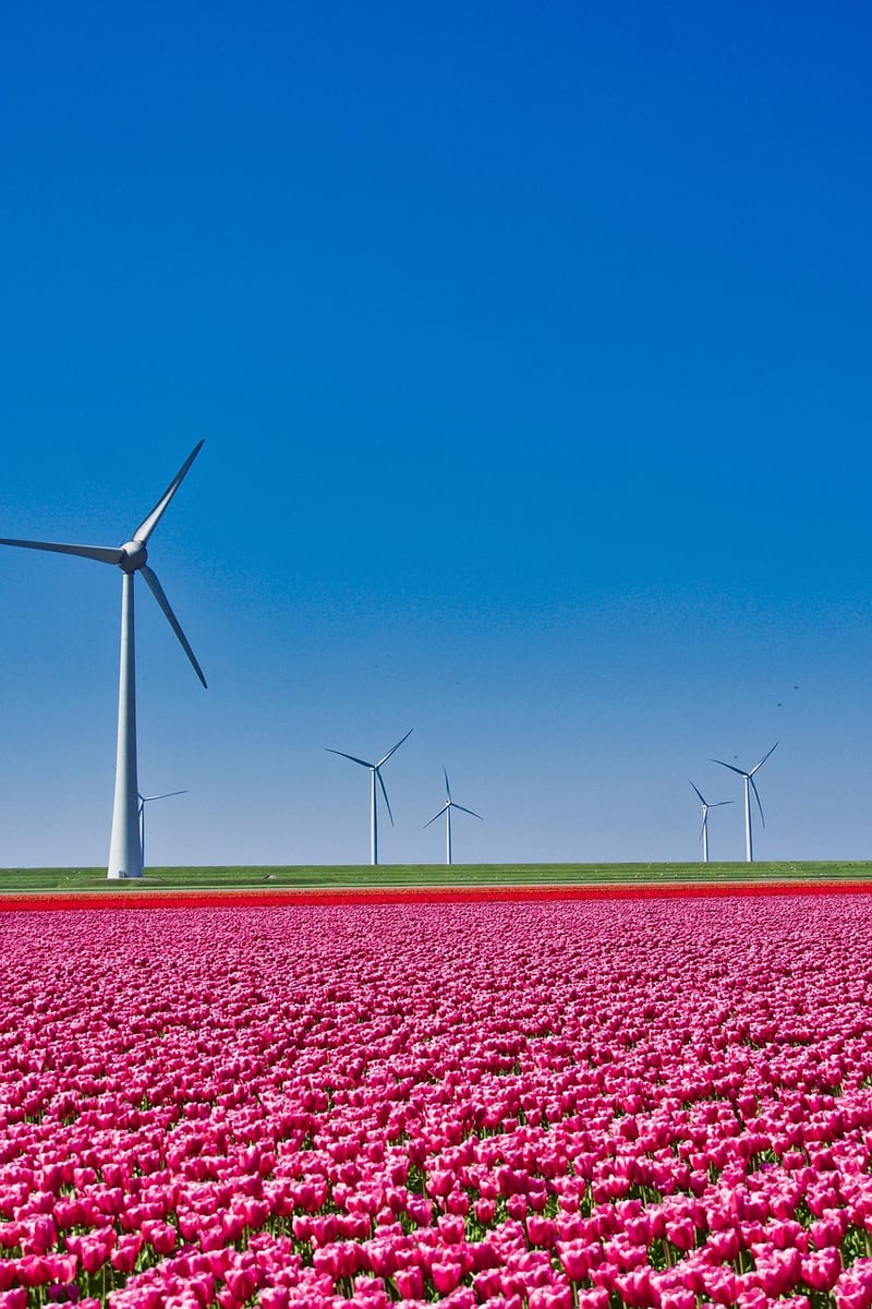 Netherlands Location